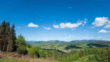 Yeşil ormanı ve dağları olan güzel yaz manzarası