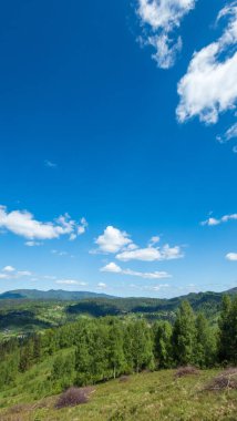 Yeşil çimen ve mavi gökyüzü olan güzel bir manzara.
