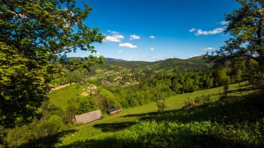 güzel yaz dağ manzarası