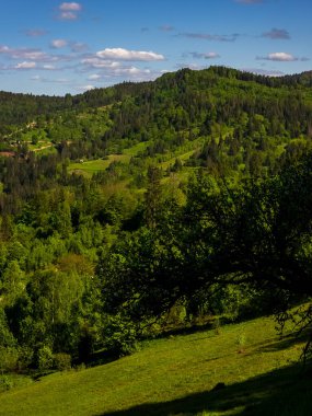 Doğanın güzel manzarası