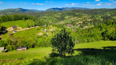 Karpat Dağları'nda Köyü.