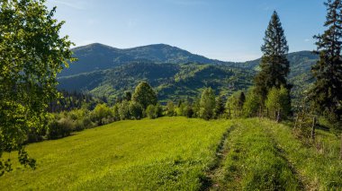Yazın dağlar ve mavi gökyüzü olan güzel bir manzara.