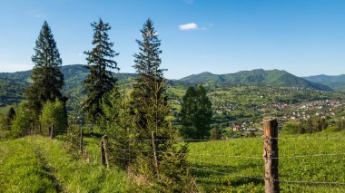 Karpatlar 'da dağlarla kaplı yaz manzarası
