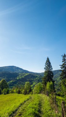 Yazın Karpatlar 'da manzara