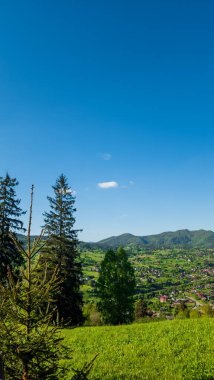 Doğanın güzel manzarası