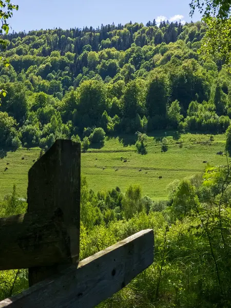 Ormandaki ahşap bir evin güzel bir fotoğrafı.