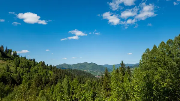 Karpat Dağları, Romanya 'nın güzel yaz manzarası.