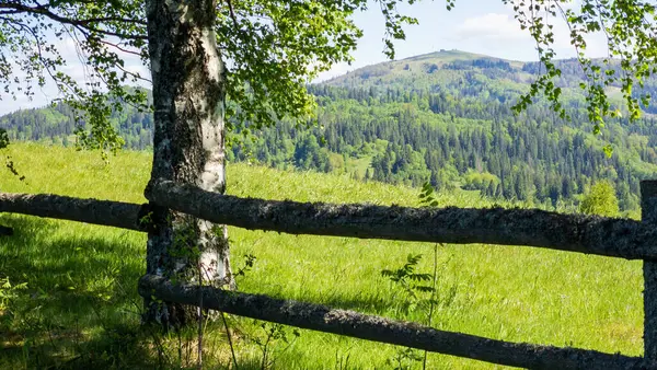 Dağların güzel manzarası
