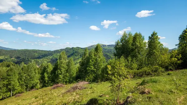 Doğanın güzel manzarası