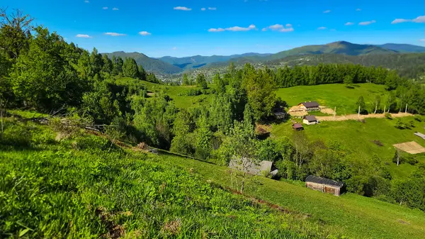 Yeşil çimenler ve dağlarla kaplı yaz manzarası