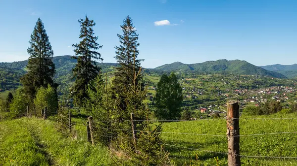 Karpatlar 'da dağlarla kaplı yaz manzarası