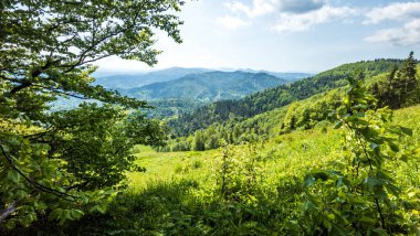 dağlarda güzel manzara.