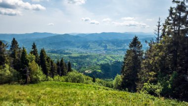 güzel yaz dağ manzarası.