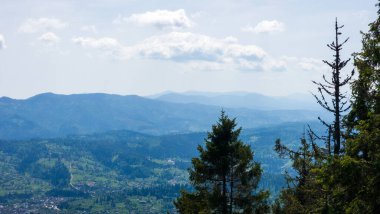 Yazın dağların ve ağaçların manzarası.