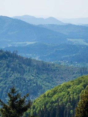 dağlar ve ağaçlar ile yaz manzara