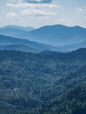 Slovakya 'daki ormandaki güzel bir dağ manzarası