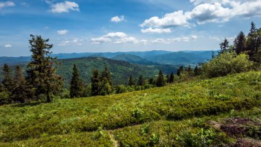 Karpat dağlarının güzel manzarası