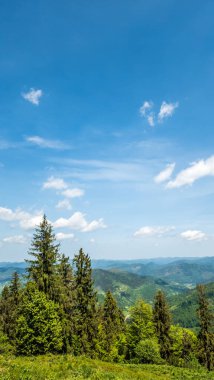 Doğanın güzel manzarası