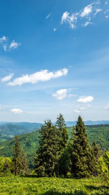 Karpatlarda Yaz manzarası.