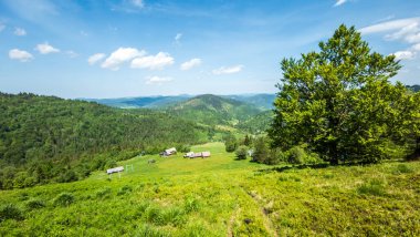 Mavi gökyüzü ile güzel yeşil dağ manzarası
