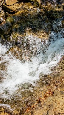 Yazın ormandaki nehirden akan su.