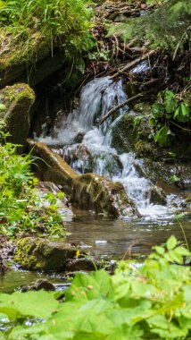 Doğanın arka planında güzel bir şelale