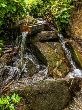 Yazın ormanın ortasında taşlı bir şelale. yüksek kaliteli fotoğraf