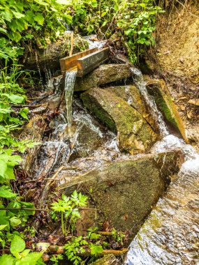 Ormanda taşlarla akan dere