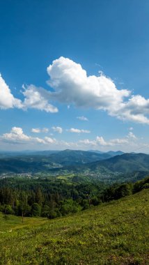 Karpatların güzel yaz dağları, Ukrayna.