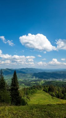 Yeşil çimenli, mavi gökyüzü ve bulutlu yaz manzarası