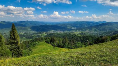 Dağlarda yaz manzarası. Karpatlar.