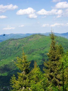 Czech Cumhuriyeti 'nde yaz mevsimi. dağlar, ormanlar, ormanlar ve tepeler.