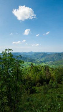 Yeşil orman ve dağlar