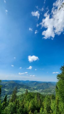 Ağaçları ve dağları olan yeşil orman