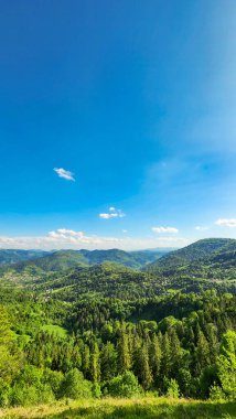 Tepenin tepesinden manzara