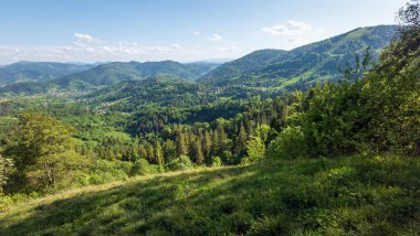 Karpat dağlarındaki dağ vadisi