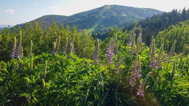 Dağlık bir arazisi ve bulutlu mavi gökyüzü.
