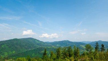 Güzel dağ manzarası. Yaz günü, doğa.