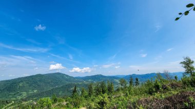 Mavi gökyüzü ve bulutlar ile yeşil orman