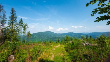 Mavi gökyüzü ve bulutlarıyla güzel bir yaz dağı manzarası.