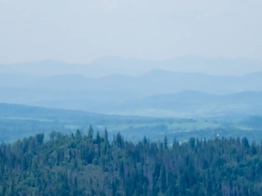 Yazın dağ manzarası. Karpat Dağları.