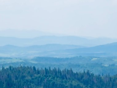 Karpat Dağları'nın güzel manzara