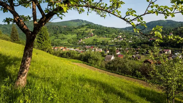 Yazın Karpat Dağlarının güzel köyü