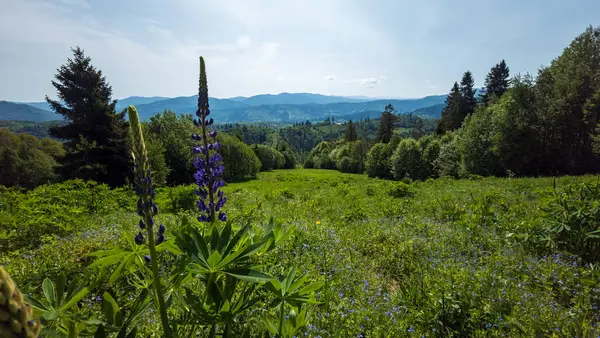 Dağların güzel manzarası