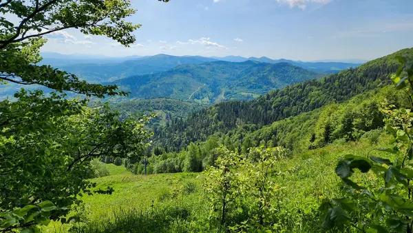 Dağları ve mavi gökyüzü olan güzel bir manzara.
