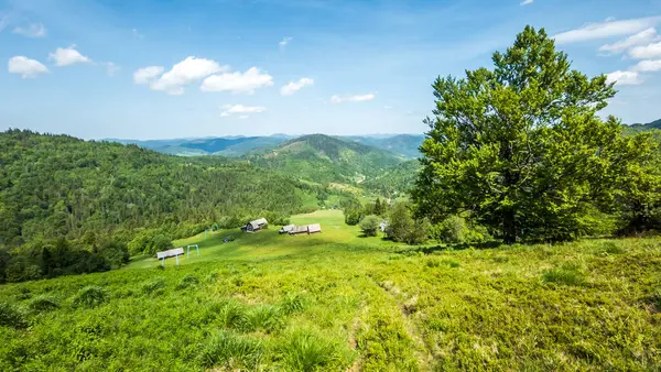 Ukrayna köyünün yaz manzarası