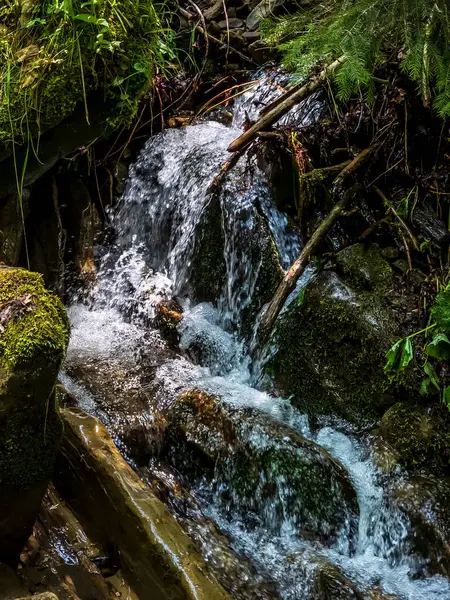 Ormanda güzel bir şelale