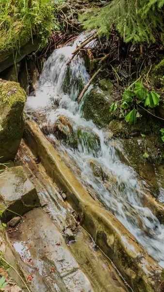 Ormanda güzel bir şelale