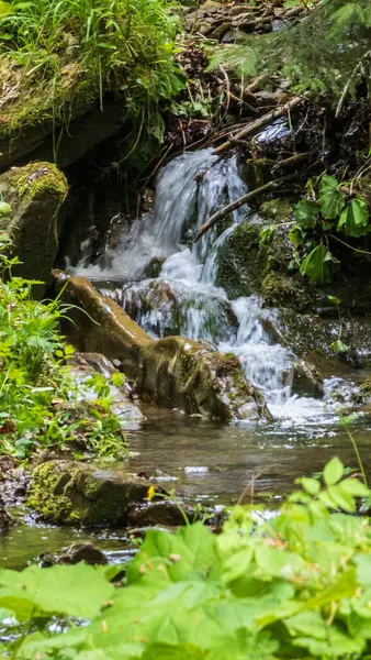 Doğanın arka planında güzel bir şelale