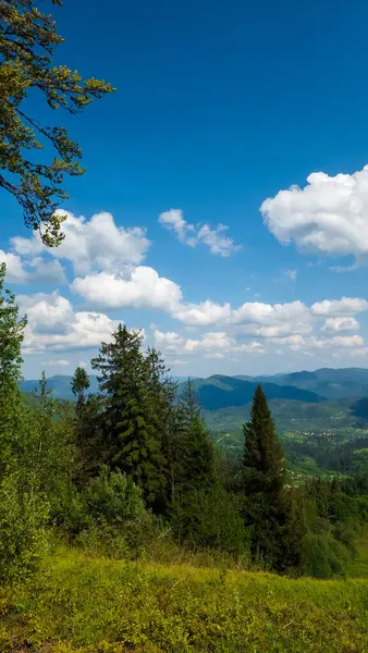 Dağları ve ormanı olan güzel bir manzara.